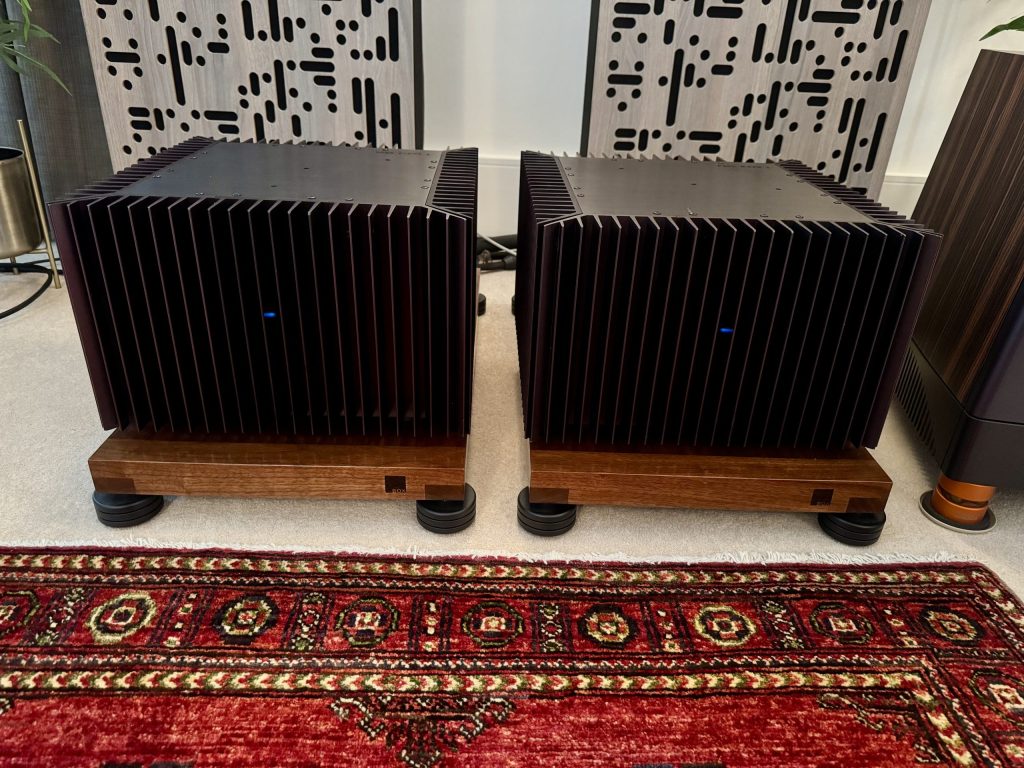 Pass Labs Aleph 1 monoblock